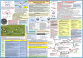 Multi-Engine Pilot Visualized Flight Training Maneuvers & Study Guide Poster (2-Sided, Size 27 x 19 In)